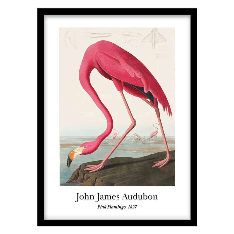تابلو دکوراتیو اثر John James Audubon کد 0613