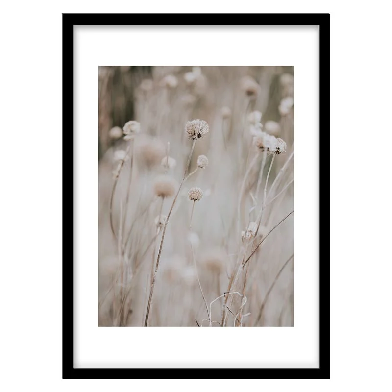 تابلو دکوراتیو مدل عکاسی کلوزآپ گل سفید کد 1259