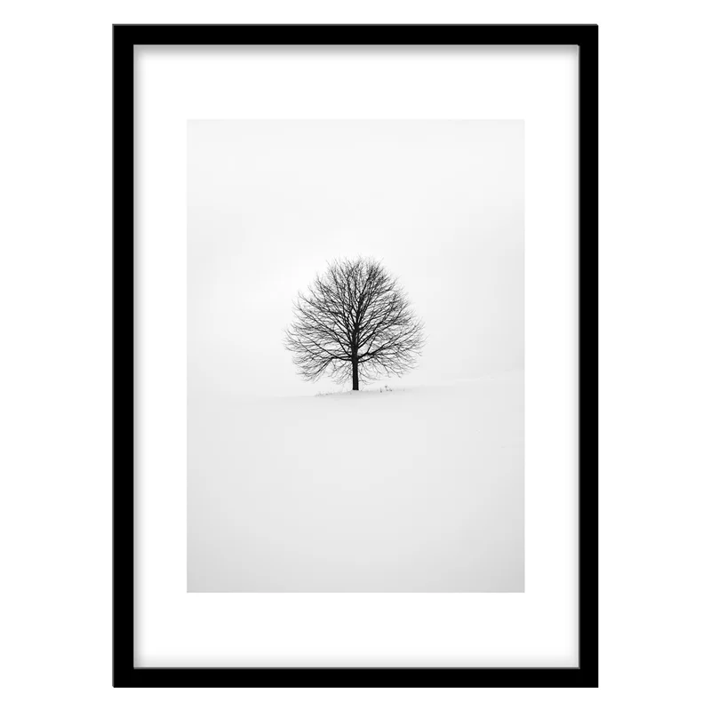 تابلو دکوراتیو مدل عکاسی مینیمال درخت کد 0506
