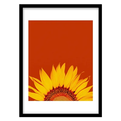تابلو دکوراتیو مدل عکاسی گل آفتاب‌گردان کد 1143