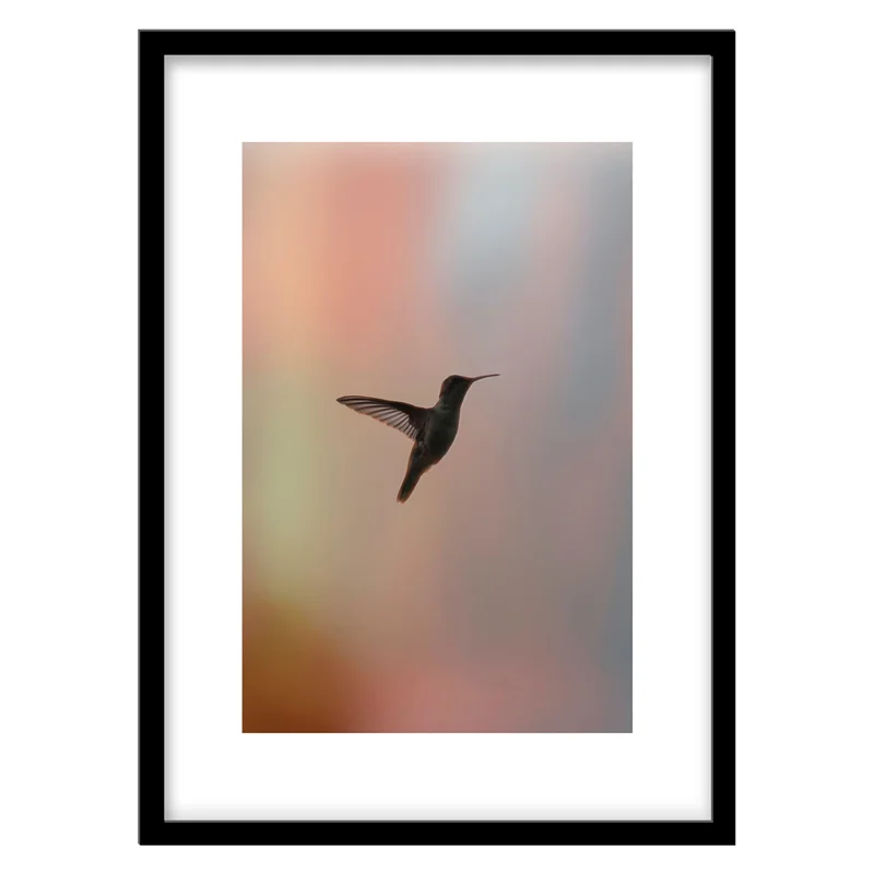 تابلو دکوراتیو مدل عکاسی مینیمال پرنده کد 0444