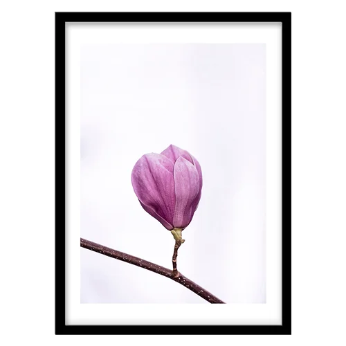 تابلو دکوراتیو مدل عکاسی مینیمال گل کد 0295