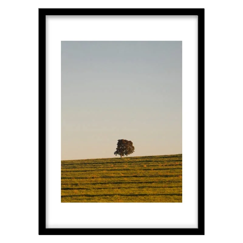 تابلو دکوراتیو مدل عکاسی مینیمال مزرعه و درخت کد 1193