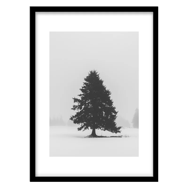 تابلو دکوراتیو مدل عکاسی مینیمال درخت کد 0508