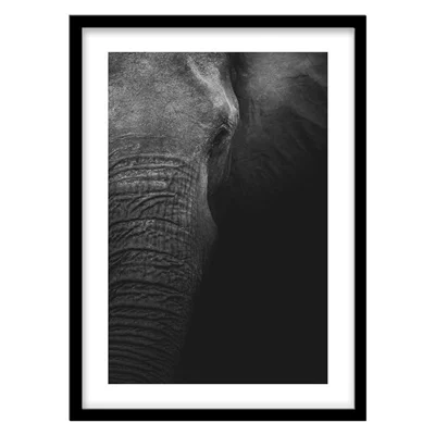 ‌‌‌‌‌‌‌‌‌‌‌‌‌‌‌‌‌‌‌‌‌‌‌‌‌‌‌‌‌‌‌‌‌‌‌‌‌‌‌‌‌‌‌‌‌‌‌‌‌‌‌‌‌‌‌‌‌‌‌‌‌‌‌‌‌‌‌‌‌‌‌‌‌‌‌‌‌‌‌‌‌‌‌‌‌‌‌‌‌‌‌‌‌‌‌‌‌‌‌‌تابلو دکوراتیو مدل عکاسی سیاه و سفید فیل کد 2308