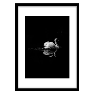 ‌‌‌‌تابلو دکوراتیو مدل قو و دریاچه کد 2257