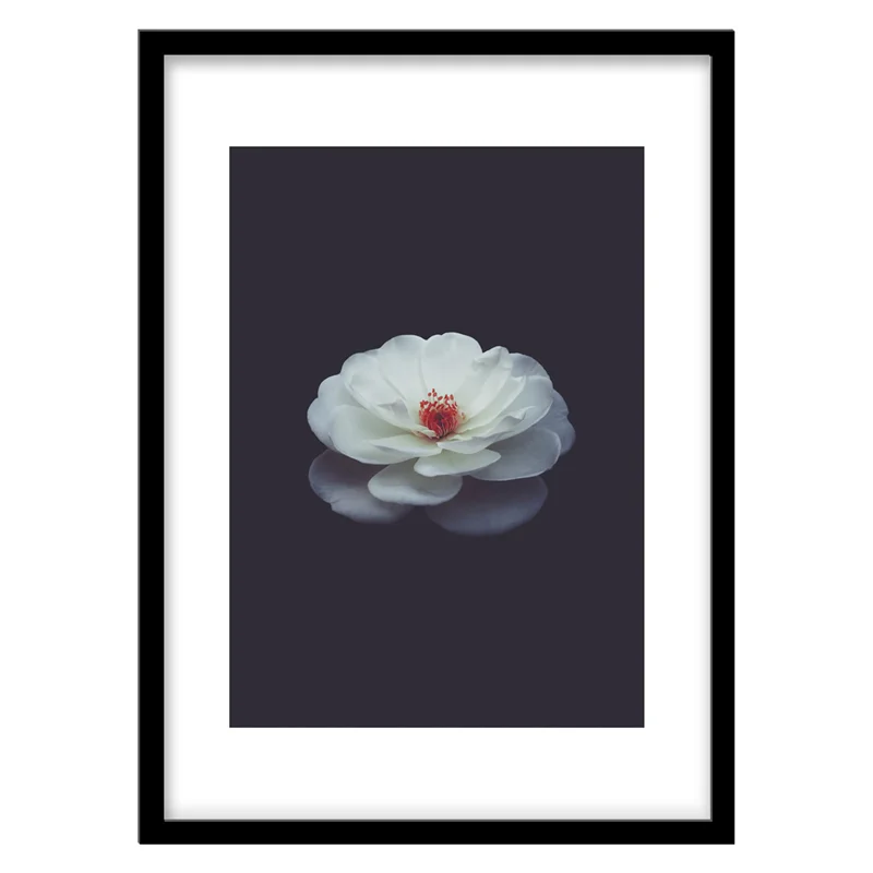 تابلو دکوراتیو مدل عکاسی گل سفید کد 0153
