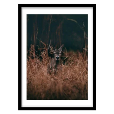 ‌‌‌‌‌‌‌‌‌‌‌‌‌‌‌‌‌‌‌‌‌‌‌‌‌‌‌‌‌‌‌‌‌‌‌‌‌‌‌‌‌‌‌‌تابلو دکوراتیو مدل منظره جنگل و گوزن کد 2452