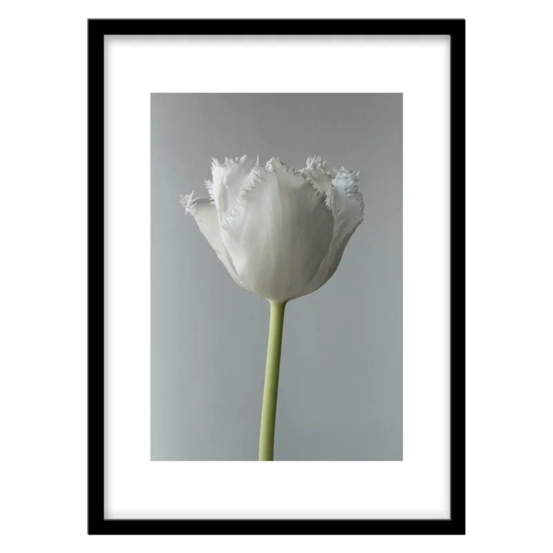تابلو دکوراتیو مدل عکاسی مینیمال گل سفید کد 0391